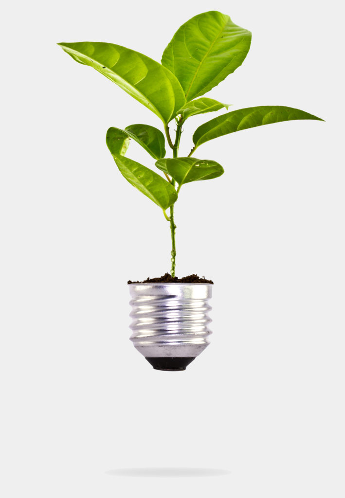 Bien-être intérieur et environnement